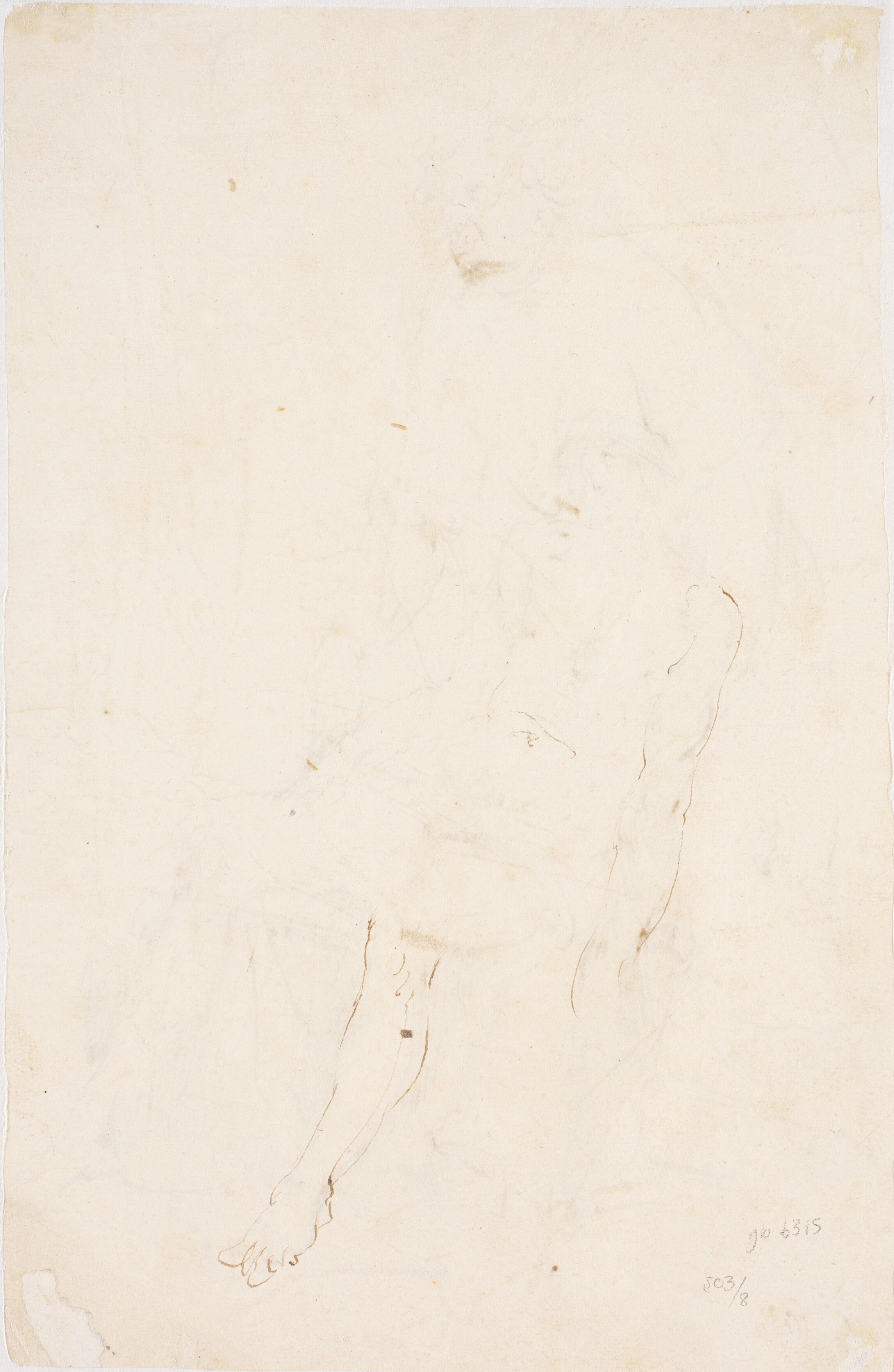 Kalke af Kristi højre arm og ben (gennem papiret)